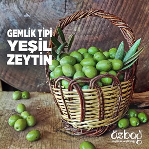 Ham Yeşil Zeytin